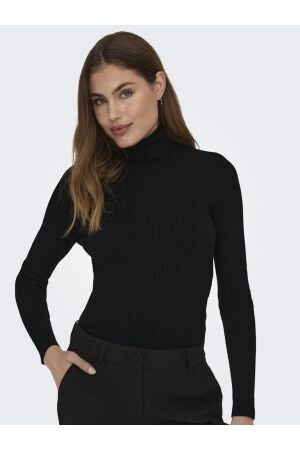 Only Only onlkarol l/s rollneck pullover knt noos 15165075 Trui black