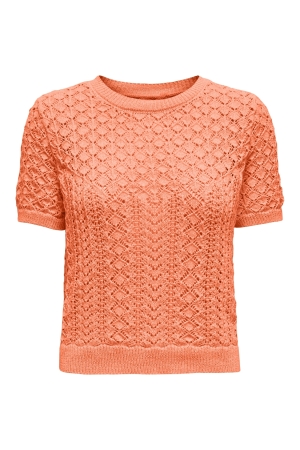 Only Only onlsaga life ss o-neck cc knt Trui korte mouw melon