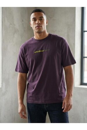 Jack & Jones Jack & Jones jjrody tee ss crew neck Print T-shirts plum perfect