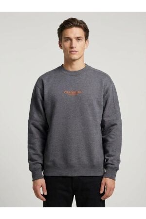 Chasin Chasin ido Sweater e80 - antracite