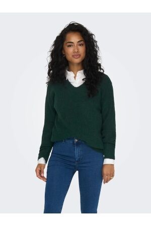 Only Only onlcamilla v-neck l/s pullover knt noos Trui scarab