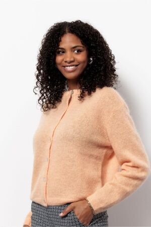 Studio Anneloes Studio Anneloes bibi mohair cardigan 13457 Vest 2300 peachy